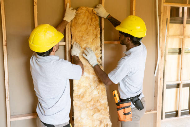 Professional Insulation Services in Goodview, MN